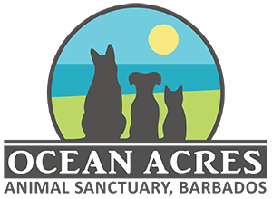 Ocean Acres Animal Sanctuary